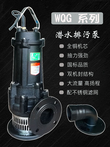 WQG40-15-4  潜水排污泵