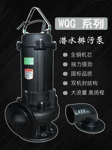 WQG60-10-4  潜水排污泵